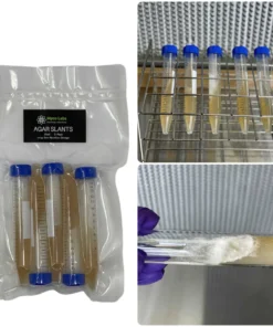 Sterilisierte Malzextrakt-Agar-Schrägagar-Röhrchen (5er-Packung)