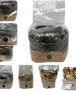 All-in-One Pilzzuchtbeutel (4 Pfund) für Pilze, die Mist lieben