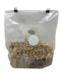 All-in-One Bulk Monobag Kit