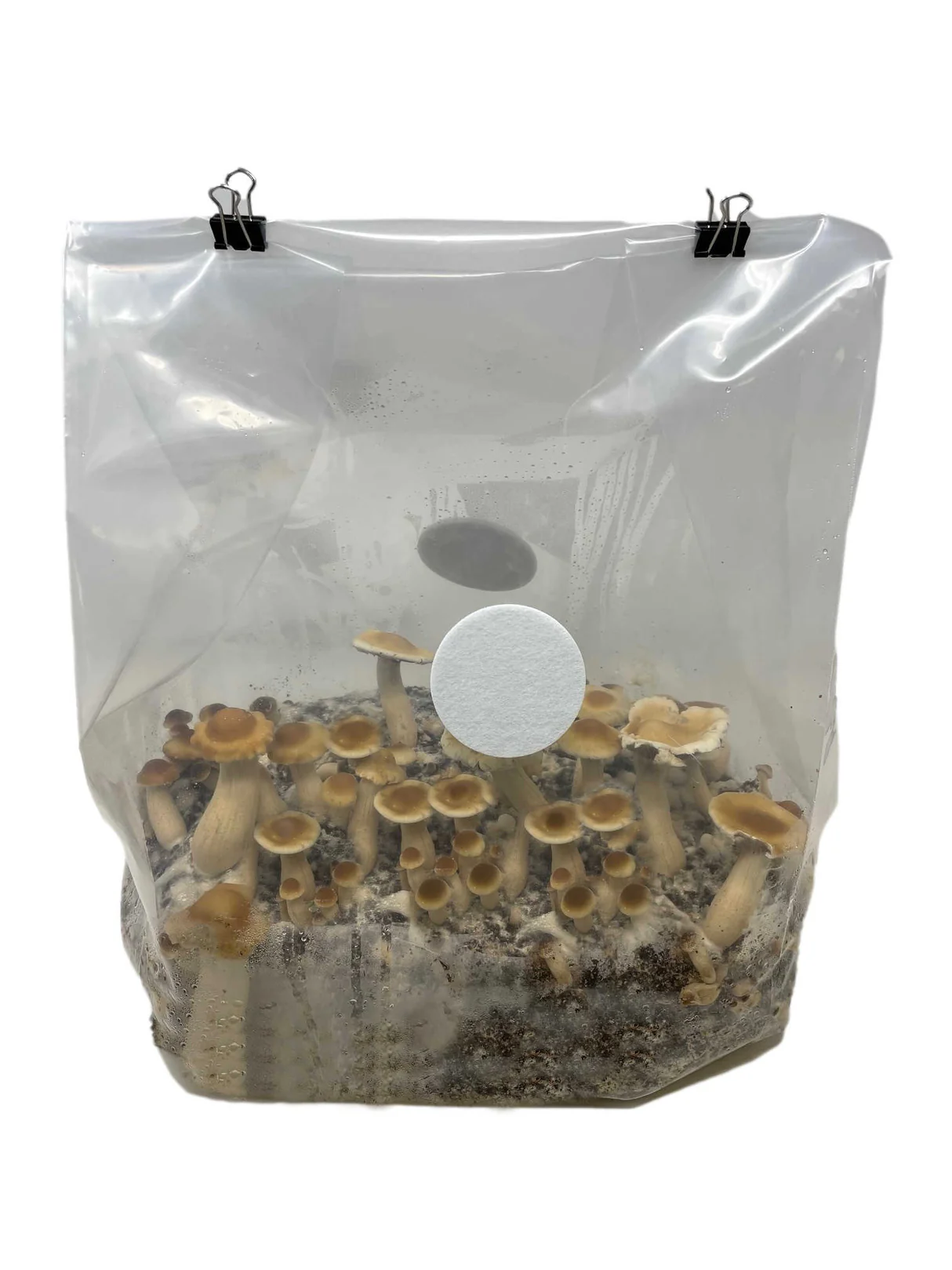 All-in-One Bulk Monobag Kit