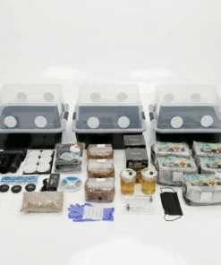 Das Grow Big Bundle! Pilzzuchtset im Monotub-Format