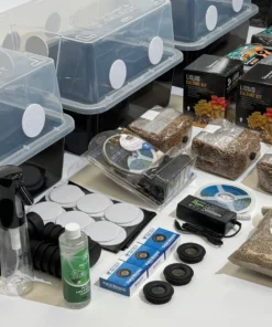 Das Grow Big Bundle! Pilzzuchtset im Monotub-Format