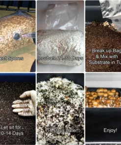 Komplettes 44Q Monotub Bulk Spawn & Cover Kit