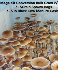 Midwest's Substrat- und Hüllenmischung aus schwarzem Kuhmist – 5 Pfund