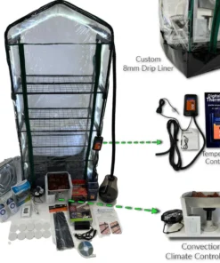 Die Pilz-Ökosystem 3.0