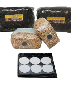 Komplettes Nachfüllset für große 66-Q-Monotubs – inklusive Getreidebrut und Substrat