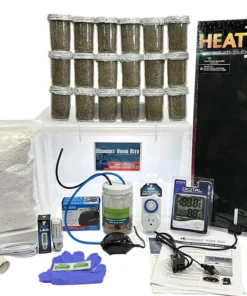 Mega-Pilzzucht- und Inkubationsset