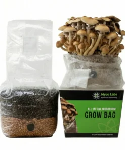 All-in-One Pilzzuchtbeutel (4 Pfund) für Pilze, die Mist lieben