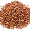 Schüttgut Rotes Sorghum (Milo) Getreide