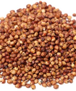 Schüttgut Rotes Sorghum (Milo) Getreide