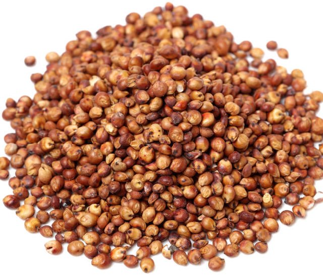 Schüttgut Rotes Sorghum (Milo) Getreide