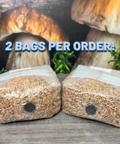 Die Original Roggensprossenbeutel