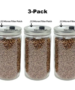 3er-Pack Roggenkörner im 32oz-Glas – Original & steril für Pilzzucht