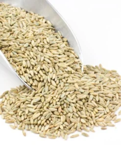 Bio-Roggenkörner in großen Mengen