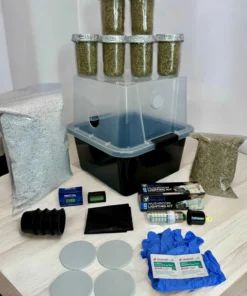 Einfaches Pilzzuchtset PLUS