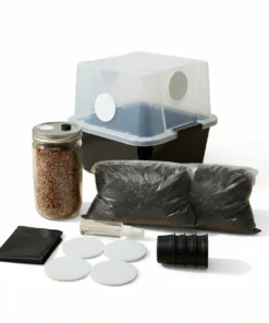 Komplettes 28Q Monotub Bulk Spawn Growing Kit