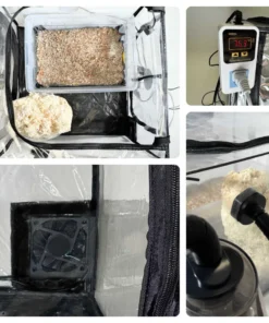 Die Tabletop Ecosphere™ – Vollautomatische Pilzzuchtkammer