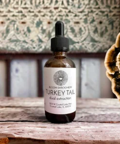 Tinktur aus Schmetterlings-Tramete – Liposomaler Glycerit-Doppelextrakt | Kleinstauflage