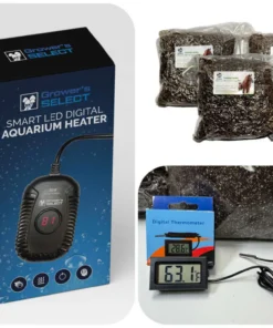 Komplettes XL Spezial-Grasbrut-Aufzucht- und Deckschicht-Set für Grasliebhaber