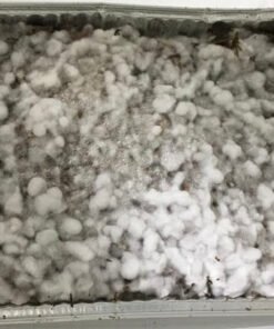 Mist-/Grasliebhaber-Set in Großmenge – Myzelzucht & Abdeckung leicht gemacht