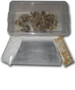 Einfaches Pilztrocknungsset