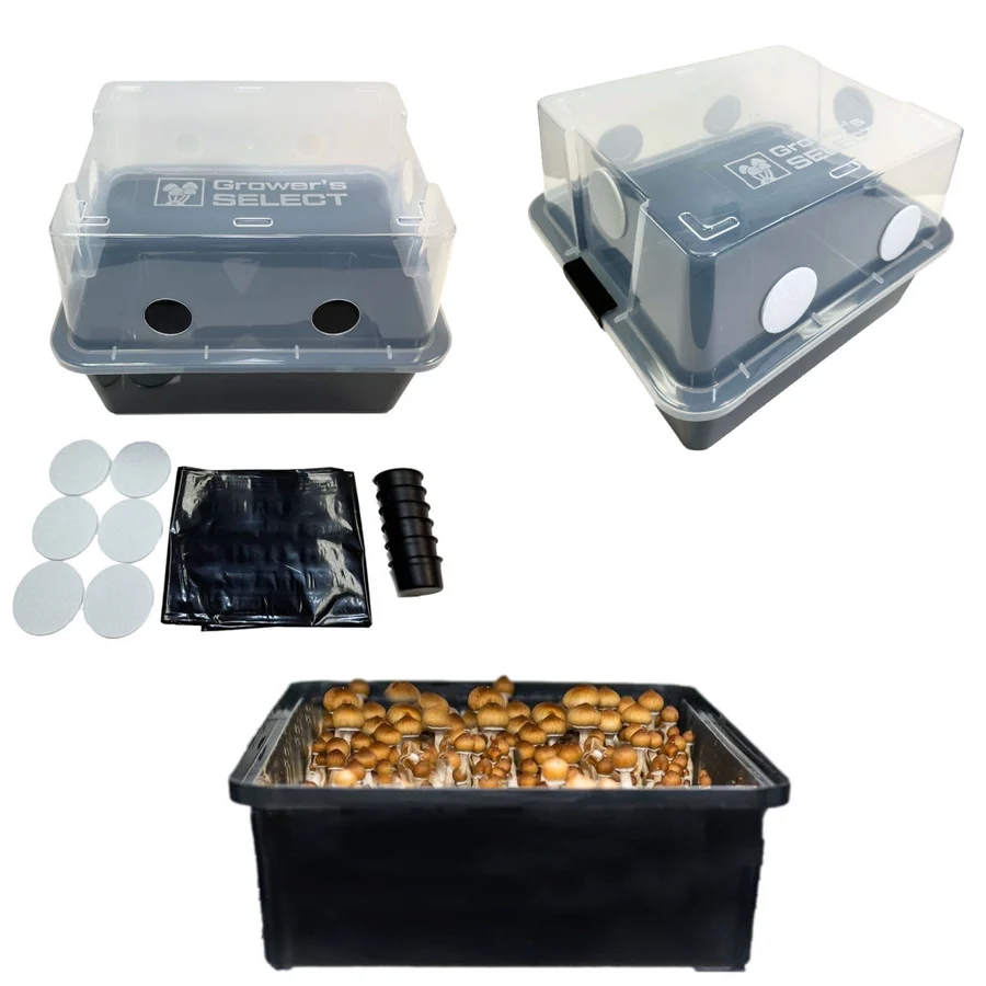 Wholesale Lot Grower's Select Monotub Fruiting Chambers with Filter Disks and Liners (12-Pack)